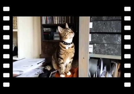 Thanks to Fineas adopter Janna Rogers